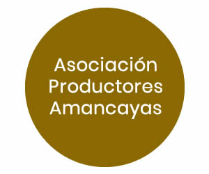 Asociación Productores Amancayas