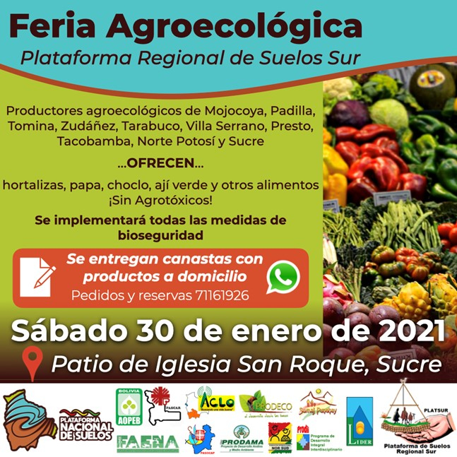 feriaagroecologica30enero